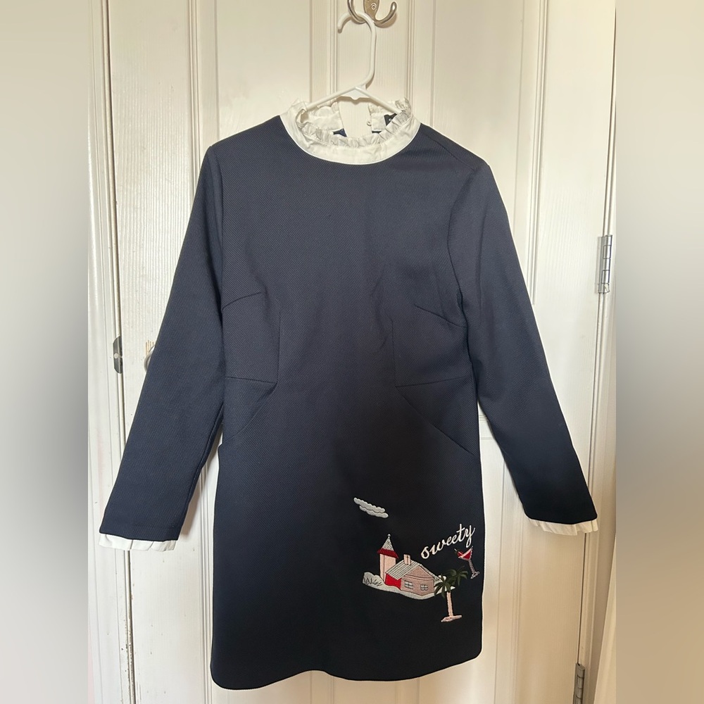 Trafaluc line from Zara Navy Long Sleeve Dress with Embroidery
